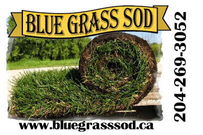 Blue Grass Sod Producers Ltd