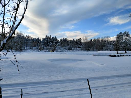 Country Club «Overlake Golf and Country Club», reviews and photos, 8000 NE 16th St, Medina, WA 98039, USA