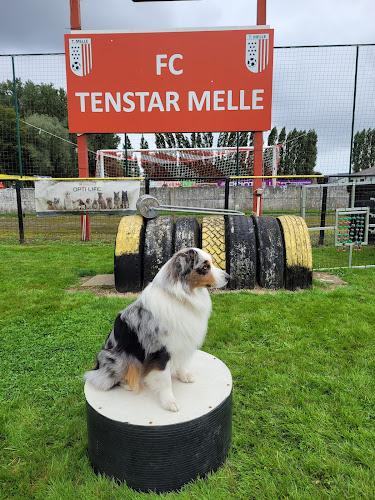 Beoordelingen van FC Tenstar Melle in Gent - Sportcomplex