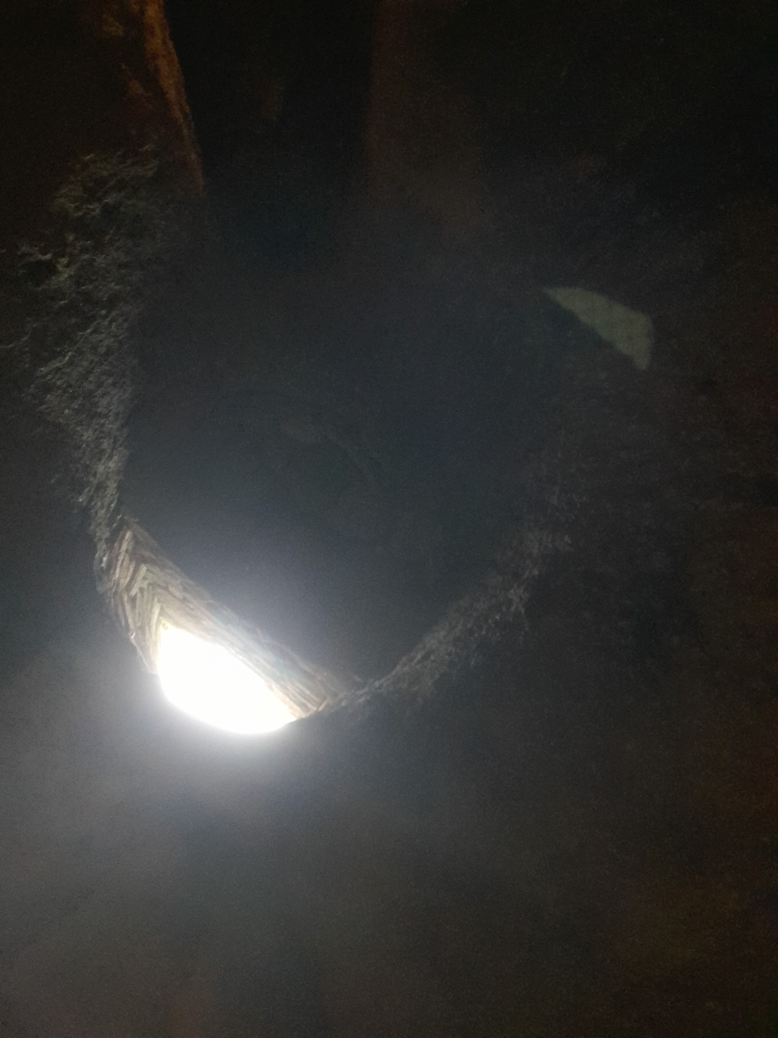 Photo n° 31 de l'avis de Patou.a fait le 27/05/2022 à 16:27