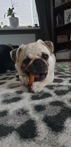 Tiedemanns Tierfutter unter Bargteheide, 