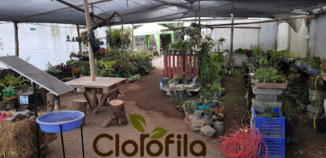 CLOROFILA Agricultura y Jardineria - Salcedo