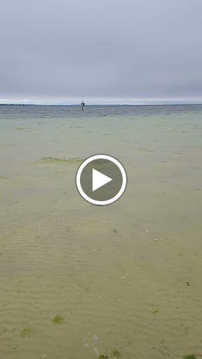 Used Car Dealer «Fort Walton Beach Auto Brokers, Inc», reviews and photos, 604 Beal Pkwy NW, Fort Walton Beach, FL 32548, USA