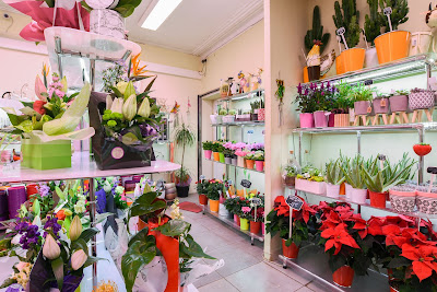 Le Langage Des Fleurs à Bourges
