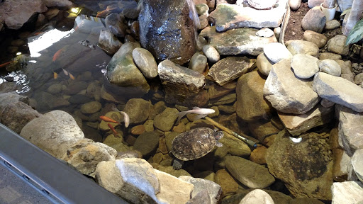 Toyota Dealer «Aubrey Alexander Toyota», reviews and photos, 1324 N Susquehanna Trail, Selinsgrove, PA 17870, USA