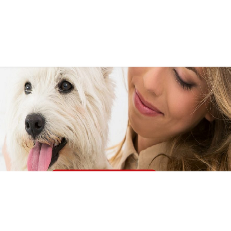 Smoochie Pooch |Pet Salon | Dog Grooming Boutique| Pet Spa Portage, IN