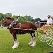 Larson's Famous Clydesdales