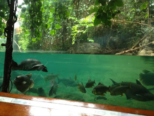 Park «River Park», reviews and photos, Boston Rd, Bronx, NY 10460, USA