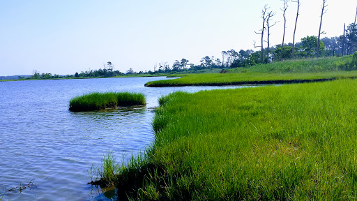 General Store «Cherrystone Resort Store», reviews and photos, 1357 Townfield Dr, Cape Charles, VA 23310, USA