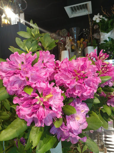 Florist «fLorEsta», reviews and photos, 51-02 Vernon Blvd, Long Island City, NY 11101, USA