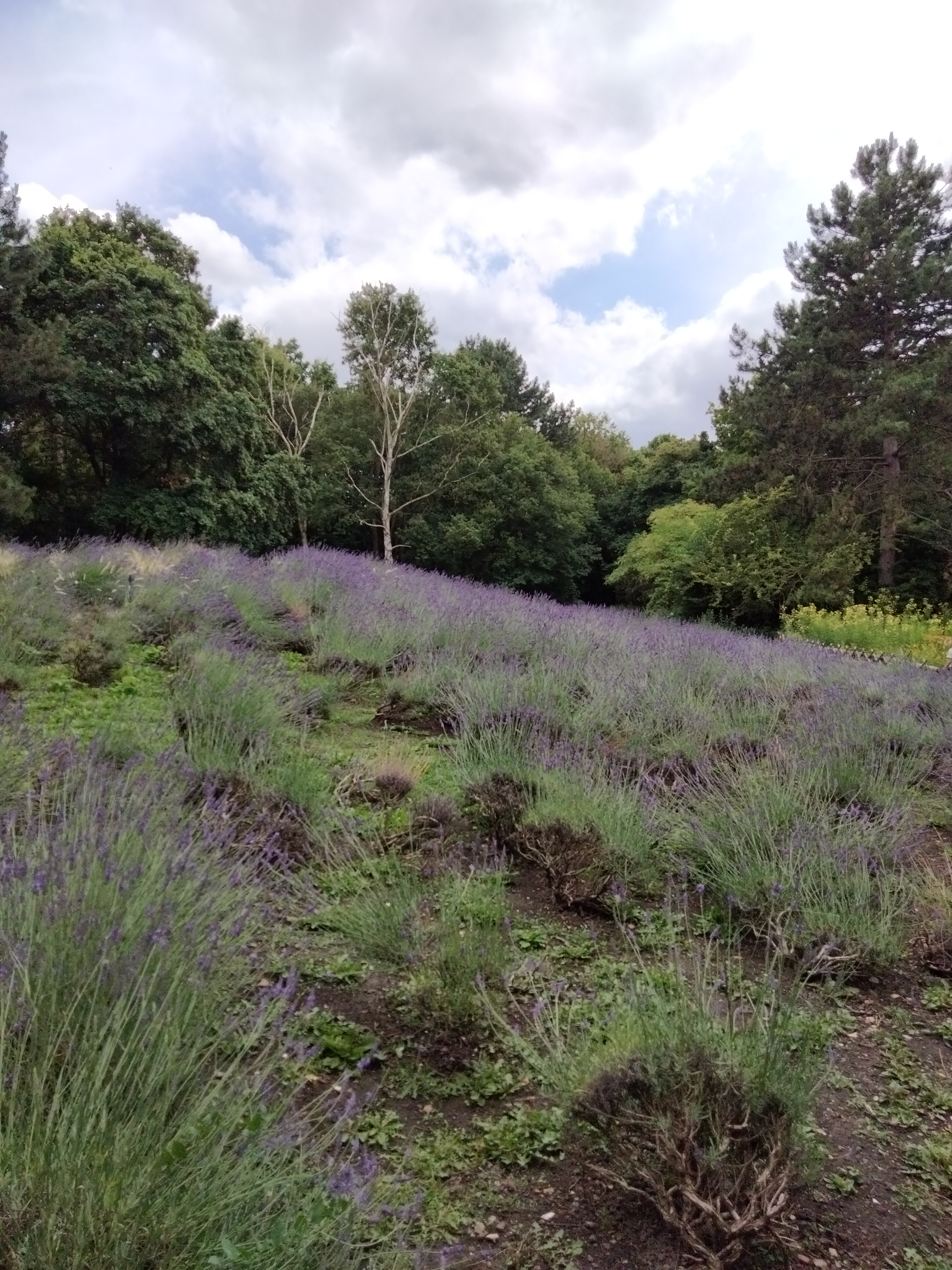 Photo n° 11 de l'avis de Béa. fait le 26/06/2022 à 17:04