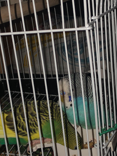 Pet Supply Store «PetSmart», reviews and photos, 12341 Seal Beach Blvd, Seal Beach, CA 90740, USA