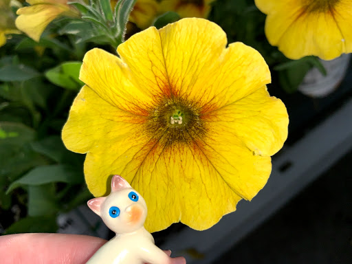 Home Improvement Store «The Home Depot», reviews and photos, 1200 Mayberry Dr, Highlands Ranch, CO 80129, USA