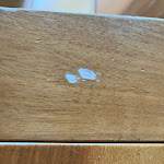 Photo n°1 de l'avis de Work. fait le 21/04/2024 à 06:33 sur le  Hotel Royal à Garda