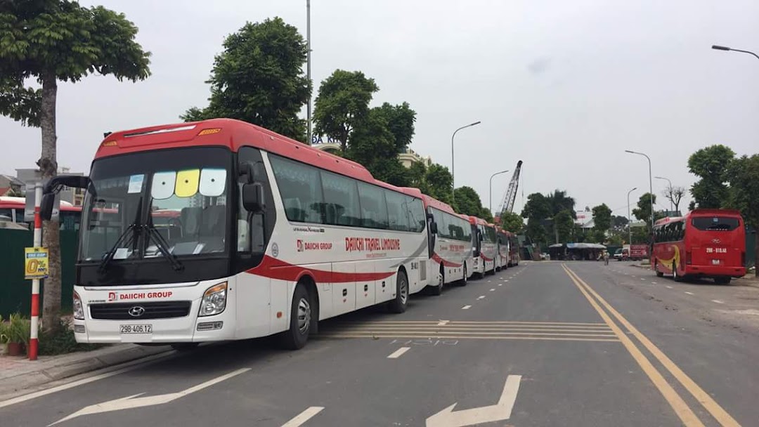 Daiichi Travel Cat Ba