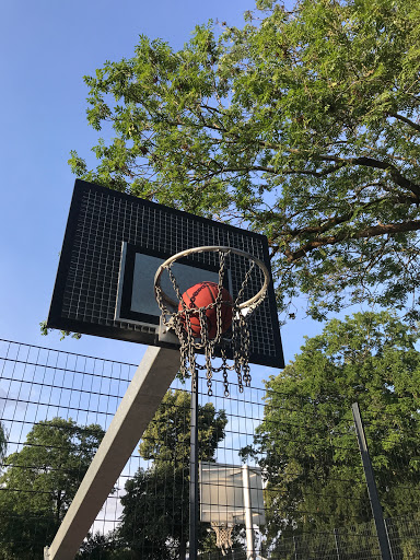 Basketball Zoopark