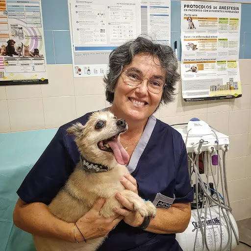 Hospitales y veterinarios de urgencia en Archena de 2024