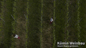 Gebr. Kümin Weinbau und Weinhandel AG