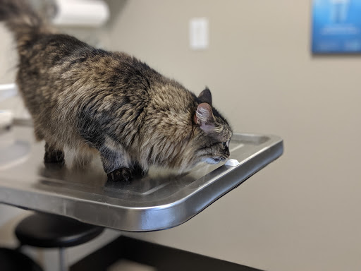 2201 34th Ave W, Seattle, WA 98199, USA