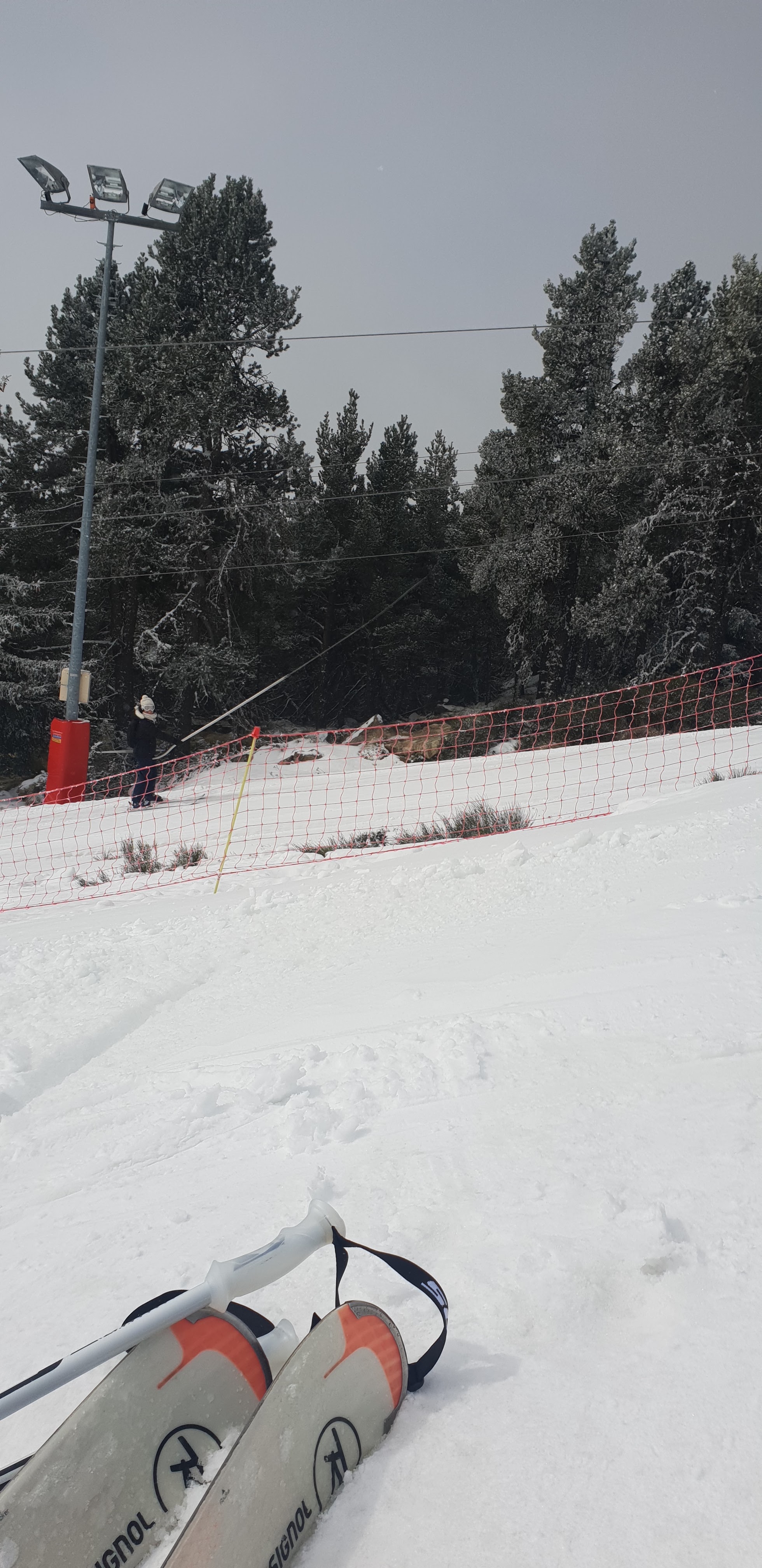 Photo n° 5 de l'avis de Celia.o fait le 11/04/2019 à 04:28
