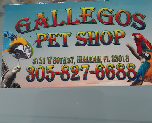 Bird Shop «Gallegos Pet Shop», reviews and photos, 3131 W 80th St, Hialeah, FL 33018, USA