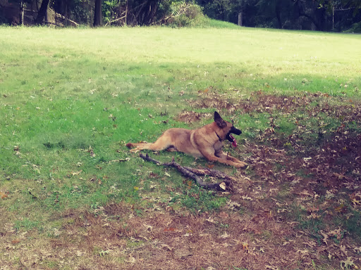 Park «Fort Circle Park», reviews and photos, Minnesota Ave SE, Washington, DC 20019, USA