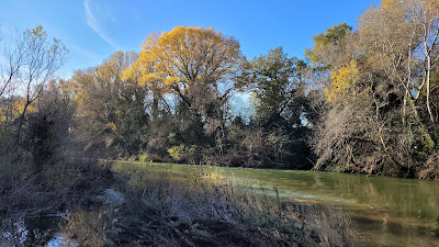 Bord de Cèze à Chusclan