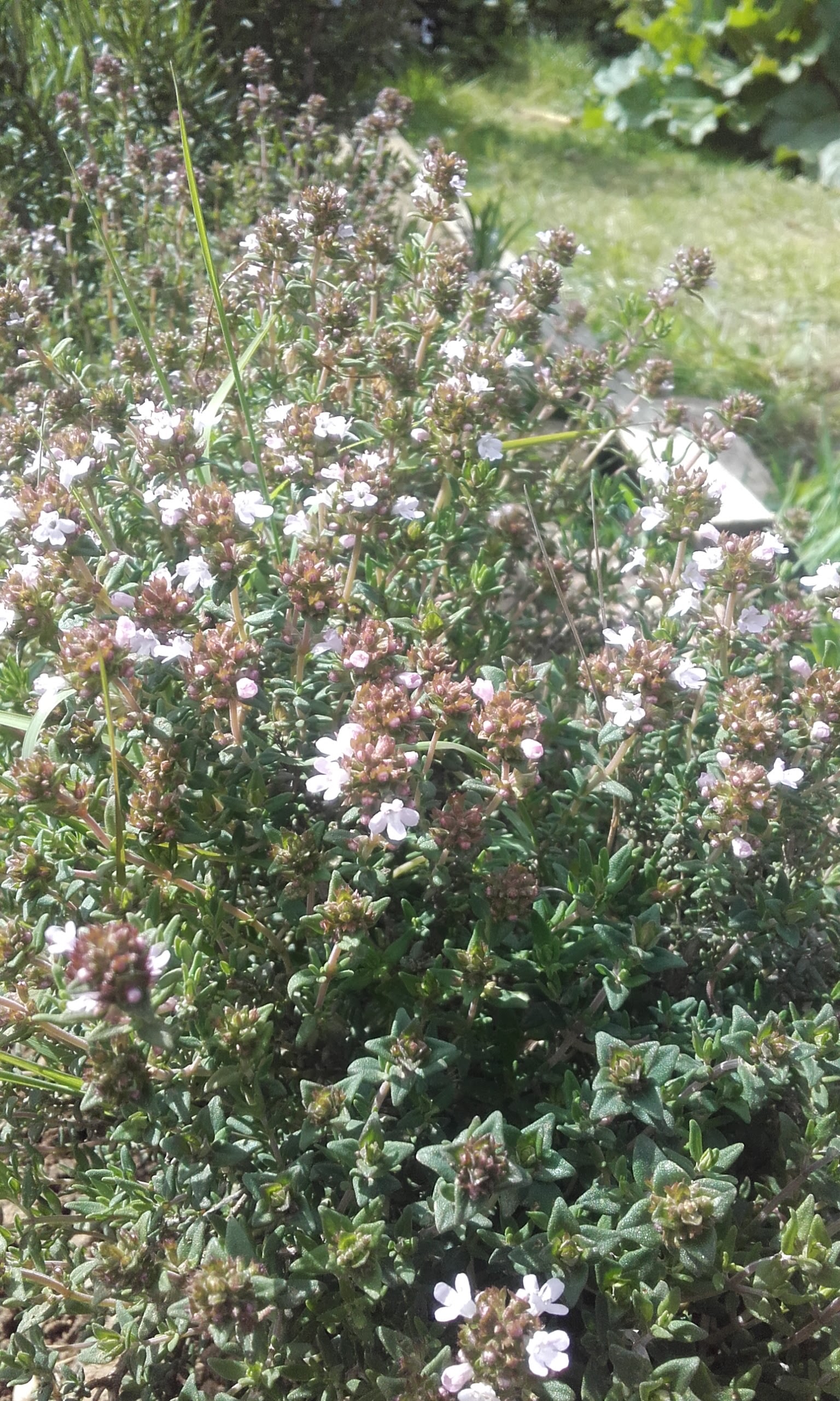 Photo n° 1 de l'avis de Olivier.i fait le 04/05/2017 à 16:04