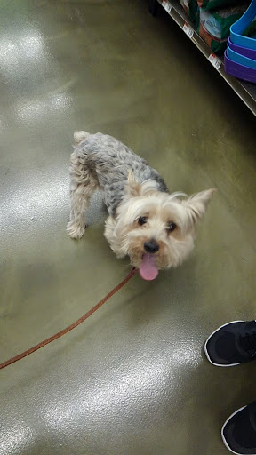 Pet Supply Store «Pet Supplies Plus», reviews and photos, 9 Waukegan Rd, Deerfield, IL 60015, USA