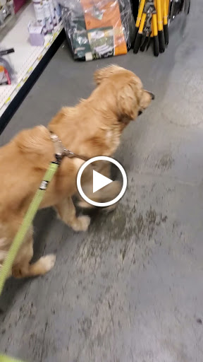 Hardware Store «Montclair Village Hardware», reviews and photos, 5048 Woodminster Ln, Oakland, CA 94602, USA