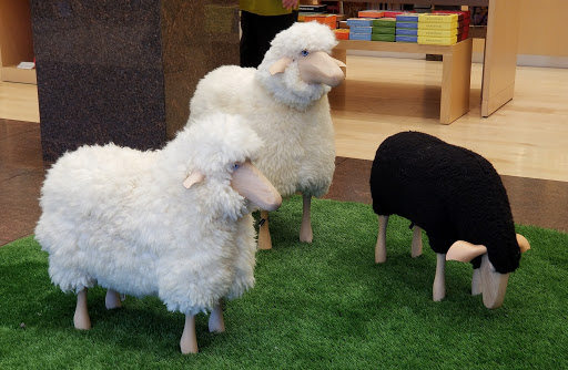 Gift Shop «The MFAH Shop», reviews and photos, 5601 Main St, Houston, TX 77005, USA