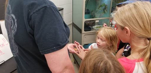 Pet Store «Critter Mart & More», reviews and photos, 3 10th St NW, Watertown, SD 57201, USA