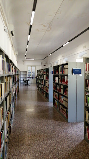 Biblioteca Umanistica, Università degli Studi