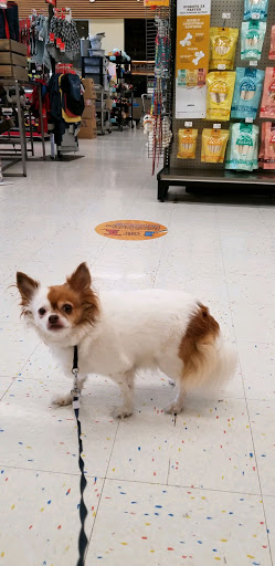 Pet Supply Store «Petco Animal Supplies», reviews and photos, 6137 Mid Rivers Mall Dr, St Charles, MO 63304, USA