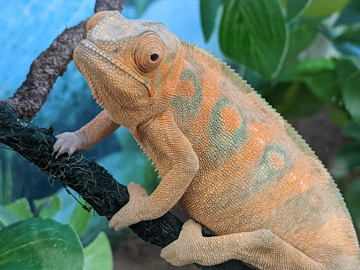 Pet Supply Store «Petco Animal Supplies», reviews and photos, 129 Mall Way, Marysville, WA 98270, USA