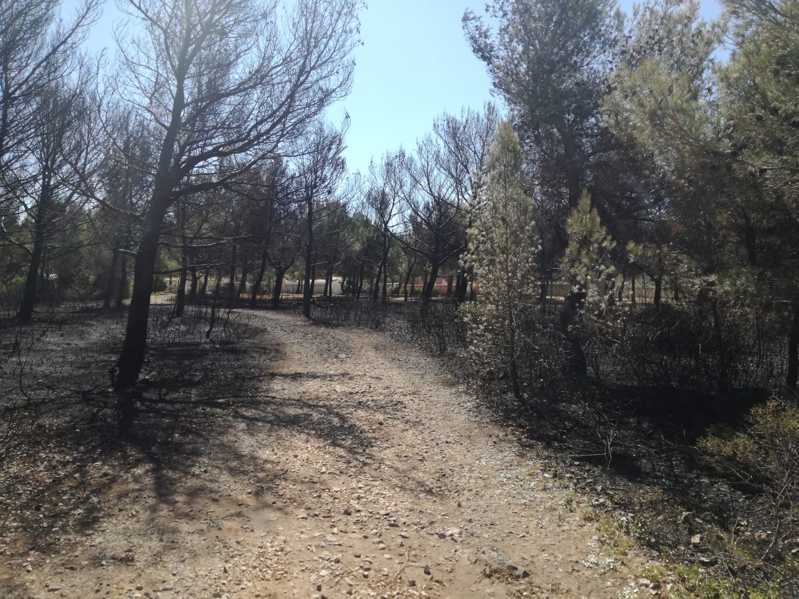 Photo n° 13 de l'avis de Jean-Pierre.a fait le 09/05/2019 à 21:35