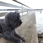 Photo n°4 de l'avis de Claus.i fait le 01/01/2018 à 08:58 sur le  Hotel 17 Seen à Eggstätt