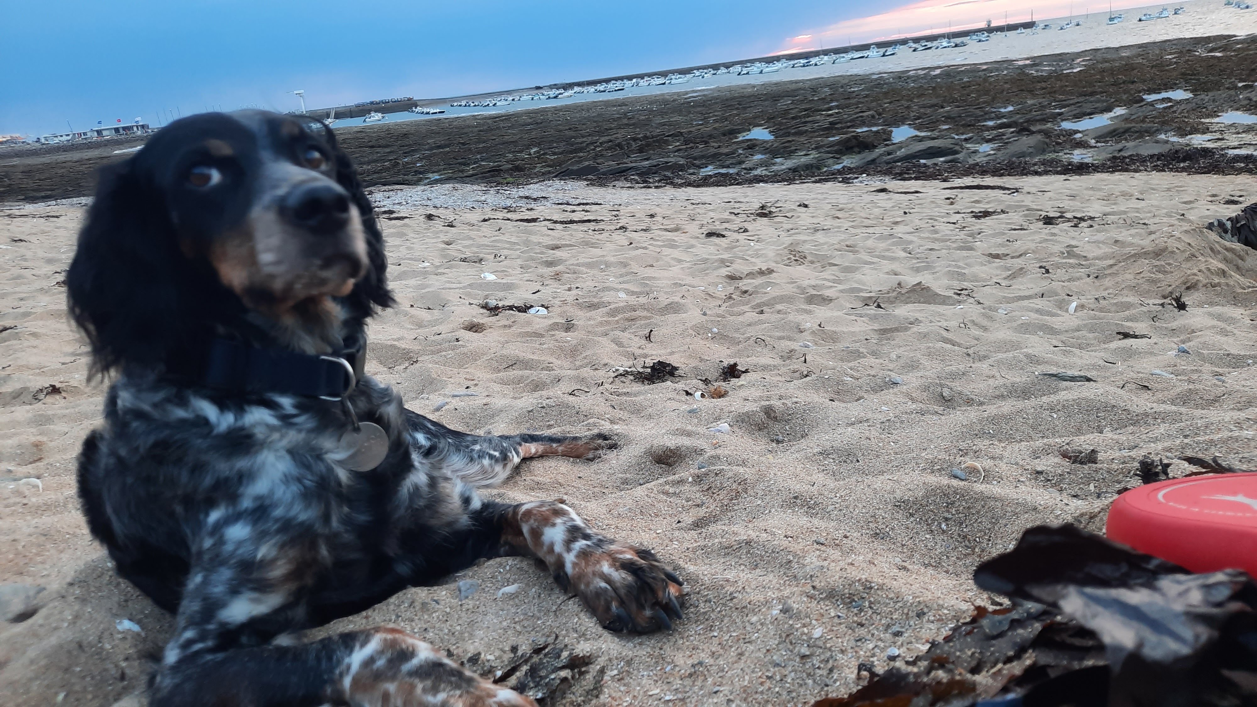 Photo n° 2 de l'avis de Philippe.o fait le 27/10/2022 à 17:30