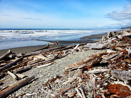 National Park «Olympic National Park», reviews and photos, 3002 Mt Angeles Rd, Port Angeles, WA 98362, USA