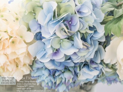 Florist «Knox Flowers & Gifts», reviews and photos, 2005 Columbia Ave, Helena, MT 59601, USA