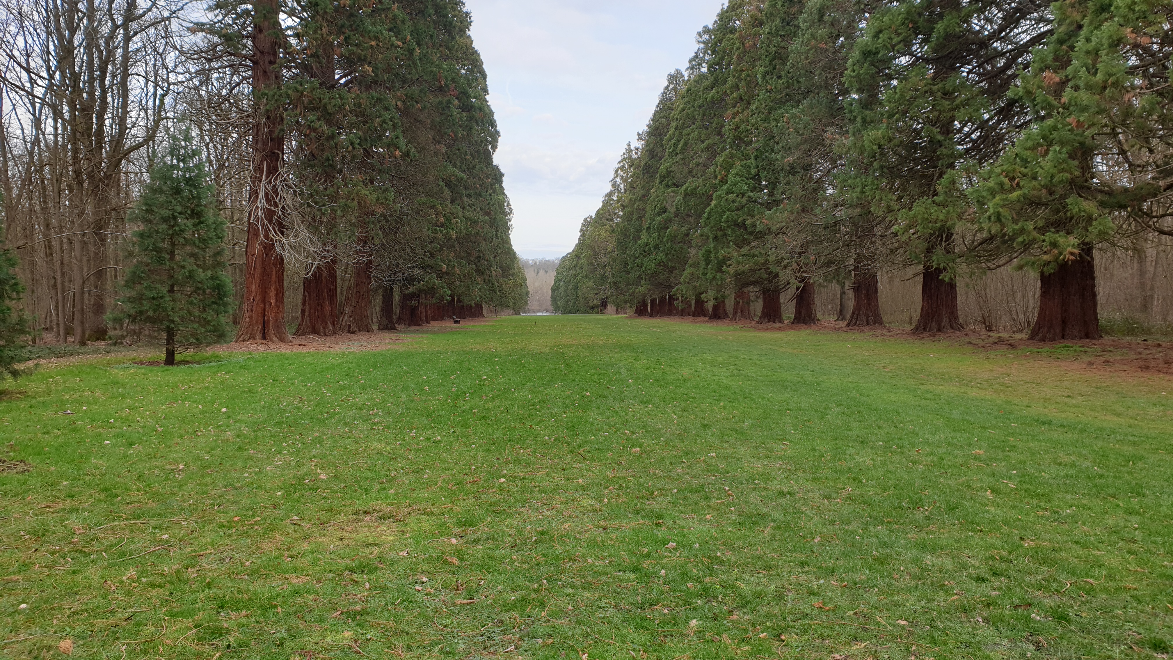 Photo n° 1 de l'avis de Jo.G fait le 20/02/2020 à 15:57