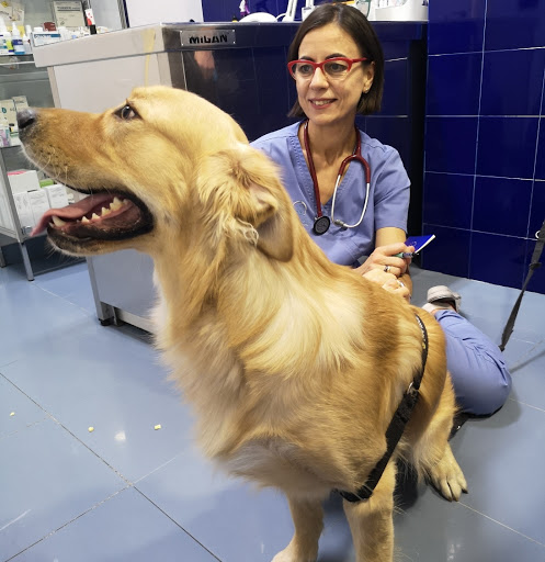 Clínica Veterinaria María J. Cabeza en León