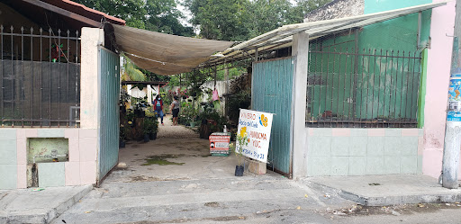 Vivero Rocio del Cielo – Hunucmá