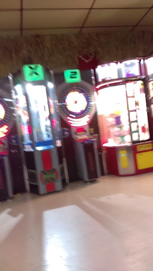 Aloha Roller Palace - photo 99