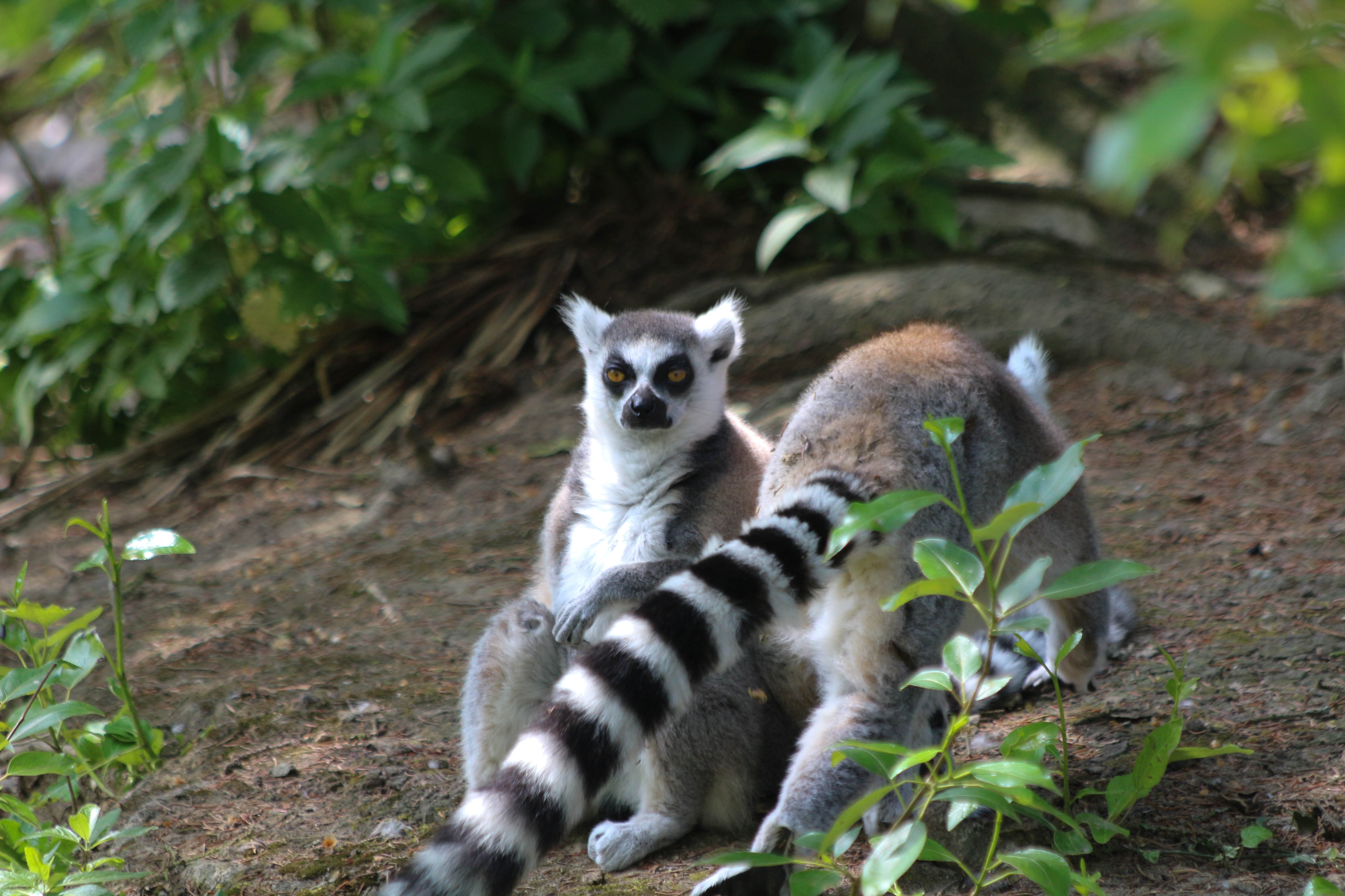 Photo n° 11 de l'avis de Laurent. fait le 05/08/2022 à 12:06