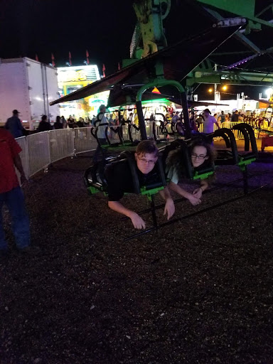 Insurance Company «Alexandria Mega Shelter», reviews and photos