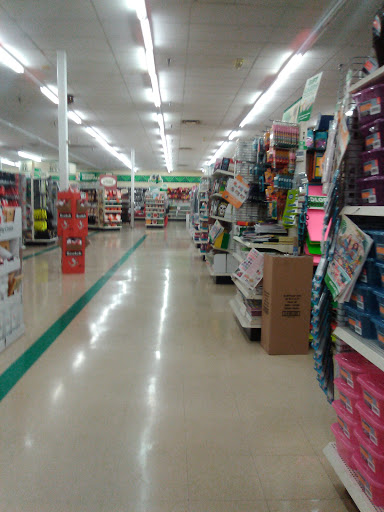 Dollar Store «Dollar Tree», reviews and photos, 1460 NE Baker St, McMinnville, OR 97128, USA