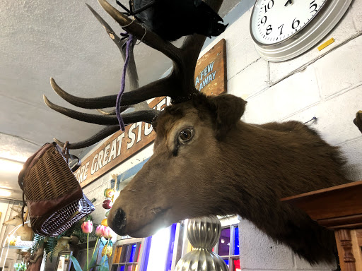 Furniture Store «Circa», reviews and photos, 1700 Allied St, Charlottesville, VA 22903, USA