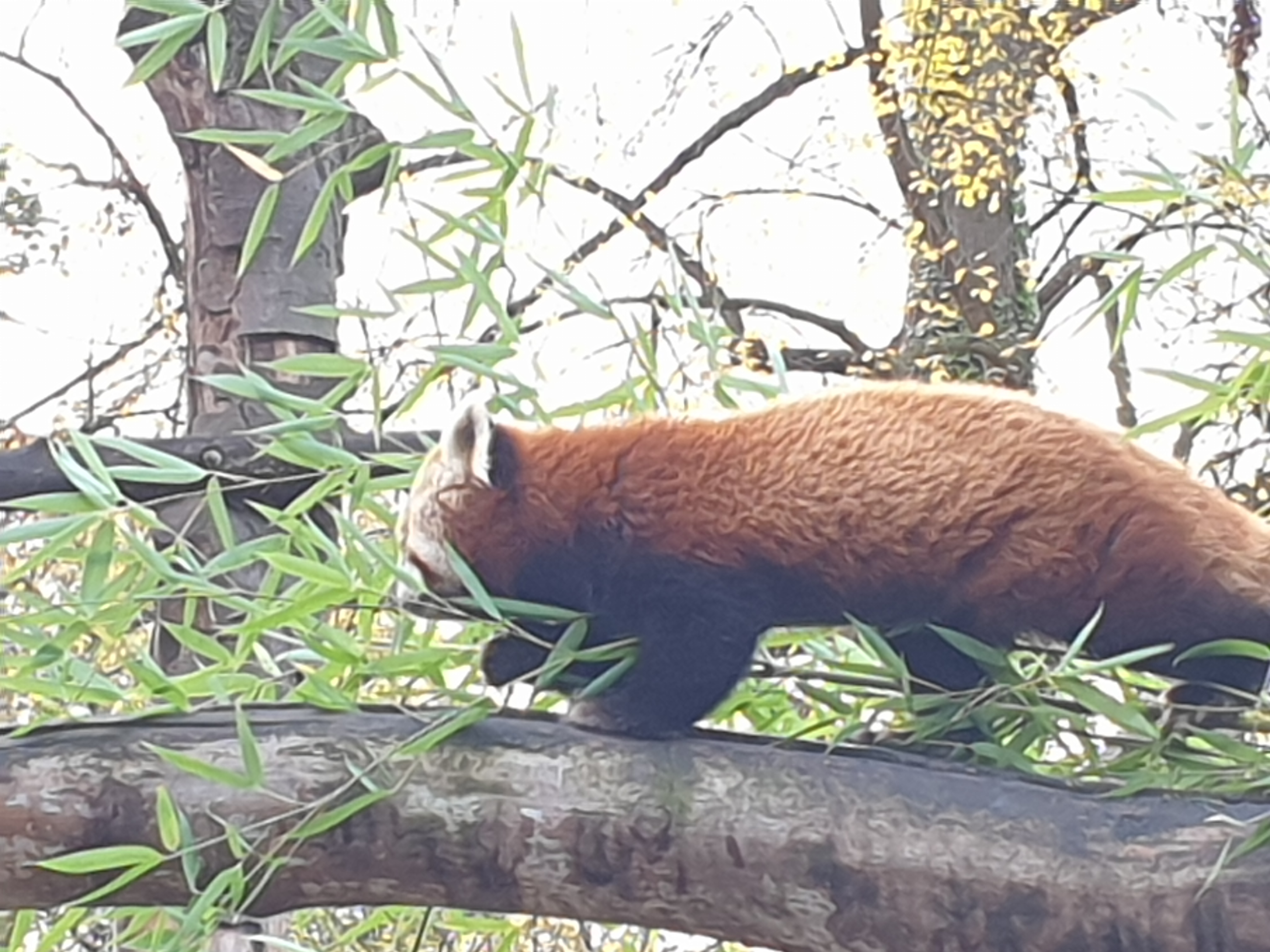 Photo n° 16 de l'avis de Jeremy.e fait le 11/07/2021 à 09:11