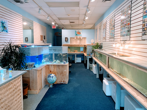Interior Ocean Designs Aquarium Tropical Fish Store on E Hartsdale Ave image 2